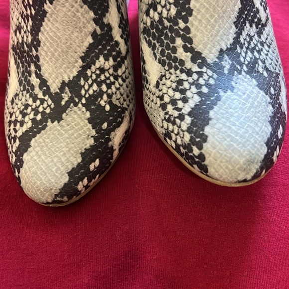 STEVE MADDEN Size 6 Narrate Pull on Boots Snake design - Picture 4 of 11